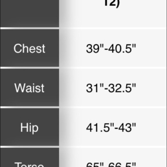 Speedo Almalfi Blue swimsuit - Picture 6 of 6